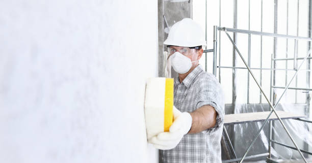 Best Asbestos and Lead Testing During Mold Inspection  in Red Bluff, CA