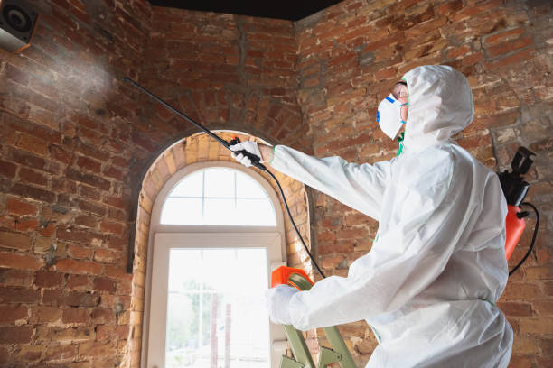 Best Mold Remediation for Healthcare Facilities  in Red Bluff, CA